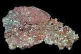 Natural, Native Copper with Cuprite - Carissa Pit, Nevada #168894-1